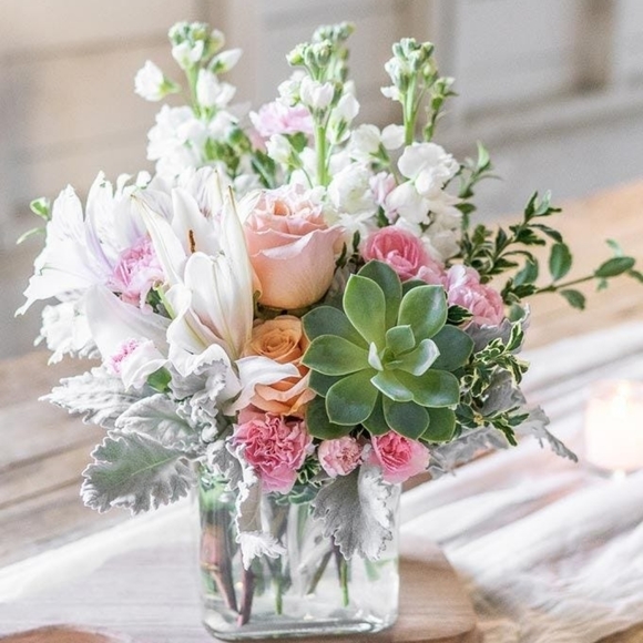 Meet your Posher, Tess - Picture 12 of 12